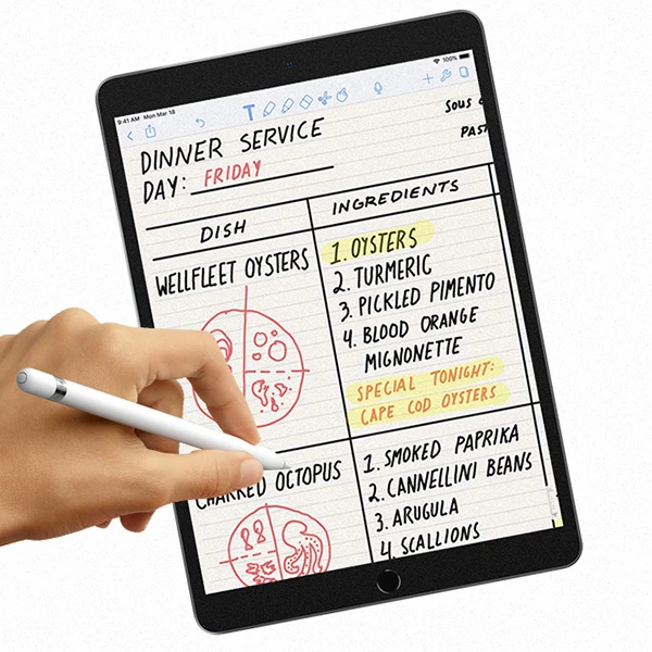 ALLY İPad Pro/Air 310.5 İnch Paper Like Film Darbe Emici Pet Ekran Koruyucu