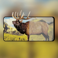 OPPO A9/A5 (2020) 3D Full Glue Tempered Cam Ekran Koruyucu