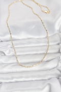CM 14K Gold Renk Zincirli 60 cm Kadın Kolye 5886
