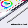 Dux Ducis Apple Pencil İçin Renkli Kalem Ucu 10x